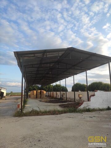 6-İZMİR DİKİLİ BAHÇELİ MAHALLESİNDE DENİZE 3. PARSEL 48.000 M2 İÇERİSİNDE KURULU 4000 BÜYÜKBAŞLIK RUHSATLI ÇİFTLİK